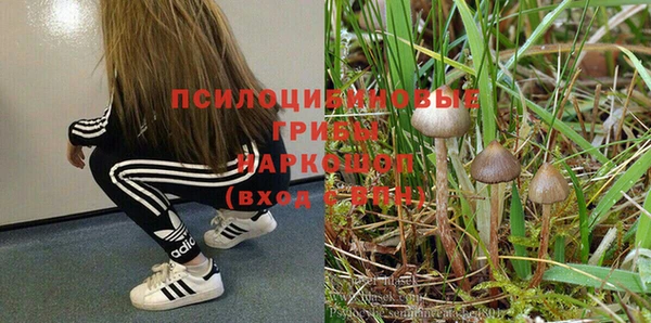 меф Каменск-Шахтинский